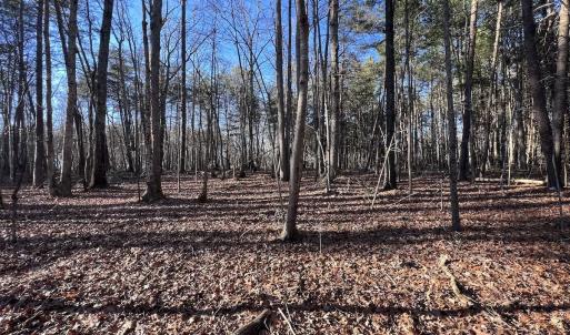 Photo #36 of SOLD property in 1296 Moriah Rd, Rougemont, NC 71.8 acres