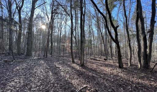 Photo #37 of SOLD property in 1296 Moriah Rd, Rougemont, NC 71.8 acres