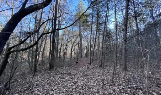 Photo #38 of SOLD property in 1296 Moriah Rd, Rougemont, NC 71.8 acres