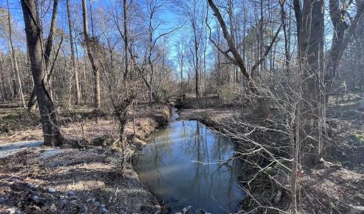 Photo #39 of SOLD property in 1296 Moriah Rd, Rougemont, NC 71.8 acres
