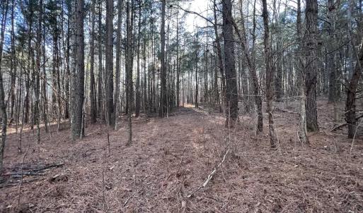 Photo #40 of SOLD property in 1296 Moriah Rd, Rougemont, NC 71.8 acres