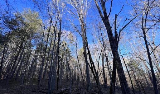 Photo #42 of SOLD property in 1296 Moriah Rd, Rougemont, NC 71.8 acres