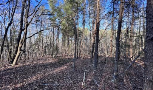 Photo #43 of SOLD property in 1296 Moriah Rd, Rougemont, NC 71.8 acres