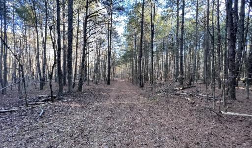 Photo #44 of SOLD property in 1296 Moriah Rd, Rougemont, NC 71.8 acres