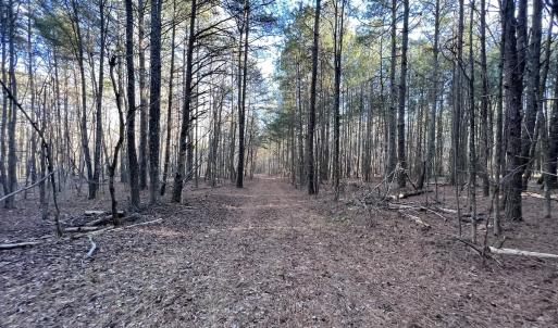 Photo #44 of 1296 Moriah Rd, Rougemont, NC 71.8 acres