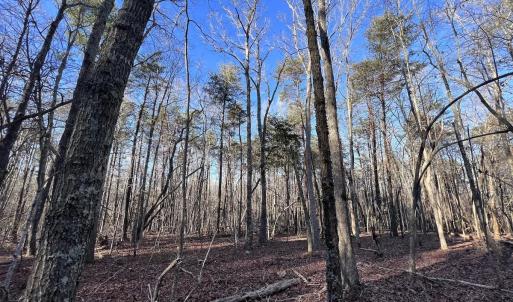 Photo #45 of SOLD property in 1296 Moriah Rd, Rougemont, NC 71.8 acres