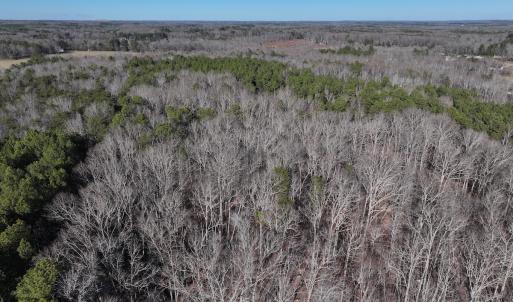Photo #46 of SOLD property in 1296 Moriah Rd, Rougemont, NC 71.8 acres
