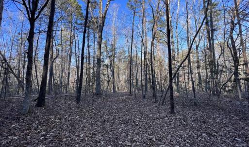 Photo #47 of 1296 Moriah Rd, Rougemont, NC 71.8 acres