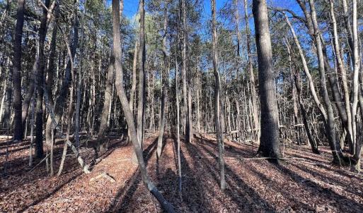 Photo #48 of SOLD property in 1296 Moriah Rd, Rougemont, NC 71.8 acres