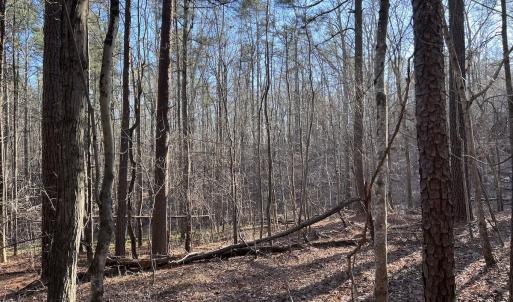 Photo #49 of SOLD property in 1296 Moriah Rd, Rougemont, NC 71.8 acres