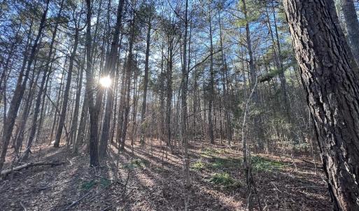 Photo #50 of 1296 Moriah Rd, Rougemont, NC 71.8 acres