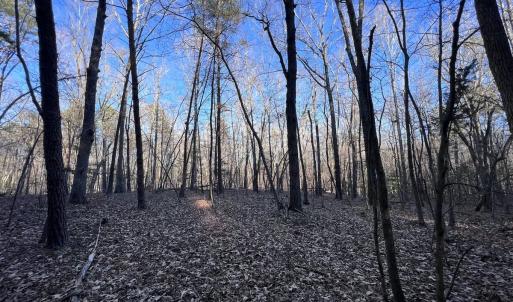 Photo #51 of SOLD property in 1296 Moriah Rd, Rougemont, NC 71.8 acres