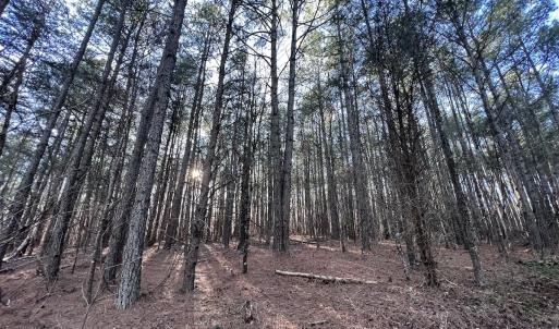 Photo #52 of SOLD property in 1296 Moriah Rd, Rougemont, NC 71.8 acres