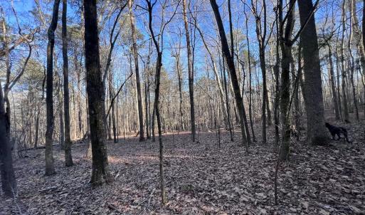 Photo #53 of SOLD property in 1296 Moriah Rd, Rougemont, NC 71.8 acres