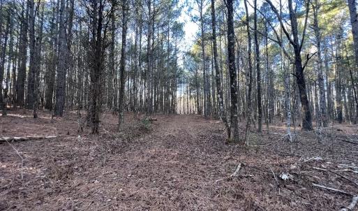 Photo #54 of 1296 Moriah Rd, Rougemont, NC 71.8 acres