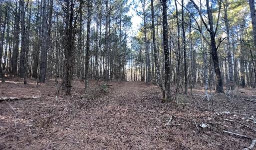 Photo #54 of SOLD property in 1296 Moriah Rd, Rougemont, NC 71.8 acres