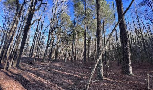 Photo #55 of SOLD property in 1296 Moriah Rd, Rougemont, NC 71.8 acres