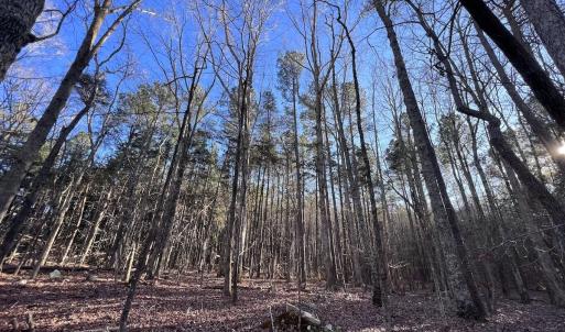Photo #56 of SOLD property in 1296 Moriah Rd, Rougemont, NC 71.8 acres