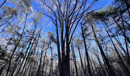 Photo #57 of SOLD property in 1296 Moriah Rd, Rougemont, NC 71.8 acres