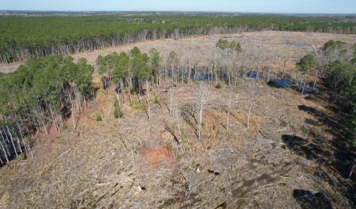 Photo #6 of SOLD property in Off Pole Run Rd, Disputanta, VA 22.0 acres