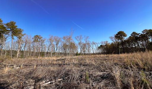 Photo #8 of SOLD property in Off Pole Run Rd, Disputanta, VA 22.0 acres