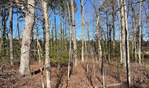 Photo #9 of SOLD property in Off Pole Run Rd, Disputanta, VA 22.0 acres