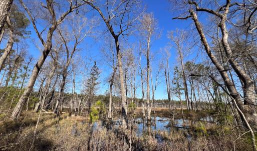 Photo #11 of SOLD property in Off Pole Run Rd, Disputanta, VA 22.0 acres