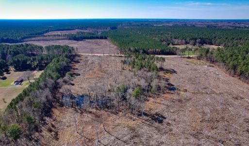 Photo #12 of SOLD property in Off Pole Run Rd, Disputanta, VA 22.0 acres