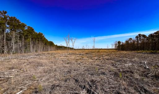 Photo #3 of SOLD property in Off Pole Run Rd, Disputanta, VA 89.1 acres