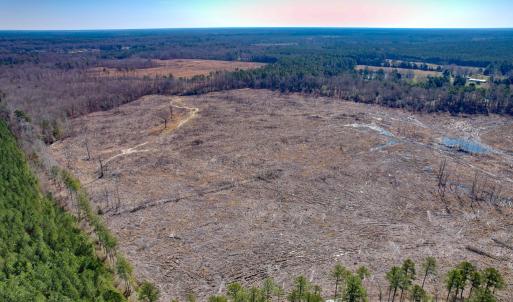 Photo #7 of SOLD property in Off Pole Run Rd, Disputanta, VA 89.1 acres