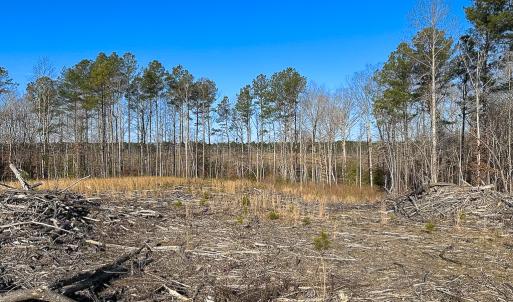 Photo #8 of SOLD property in Off Pole Run Rd, Disputanta, VA 89.1 acres