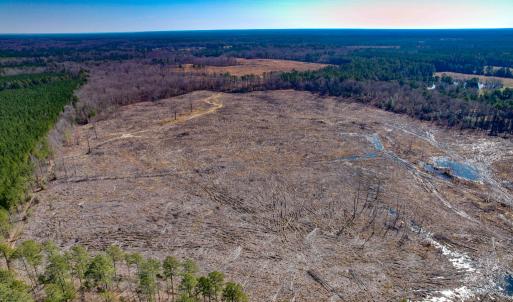 Photo #9 of SOLD property in Off Pole Run Rd, Disputanta, VA 89.1 acres