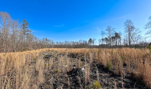 Photo #10 of SOLD property in Off Pole Run Rd, Disputanta, VA 89.1 acres