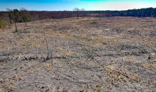 Photo #11 of SOLD property in Off Pole Run Rd, Disputanta, VA 89.1 acres