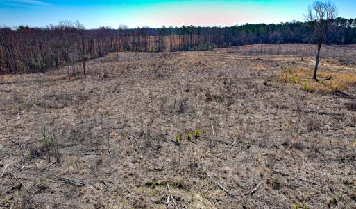 Photo #13 of SOLD property in Off Pole Run Rd, Disputanta, VA 89.1 acres