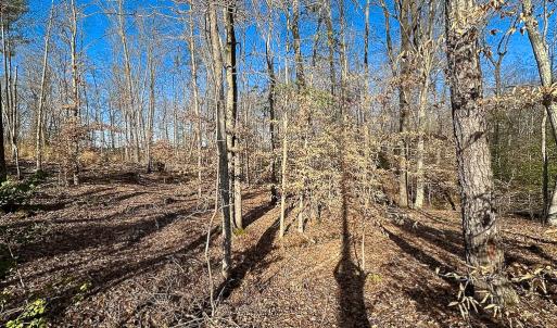Photo #14 of SOLD property in Off Pole Run Rd, Disputanta, VA 89.1 acres