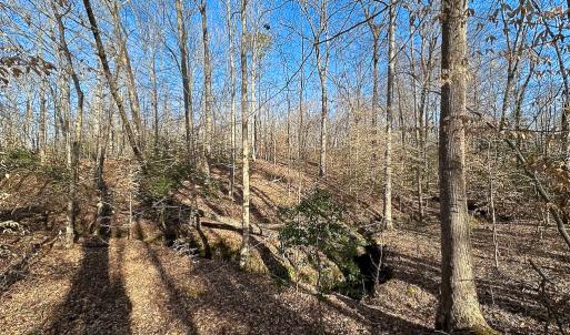 Photo #15 of SOLD property in Off Pole Run Rd, Disputanta, VA 89.1 acres