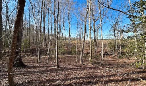 Photo #17 of SOLD property in Off Pole Run Rd, Disputanta, VA 89.1 acres