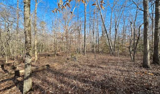 Photo #18 of SOLD property in Off Pole Run Rd, Disputanta, VA 89.1 acres
