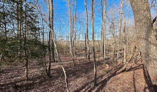 Photo #19 of SOLD property in Off Pole Run Rd, Disputanta, VA 89.1 acres