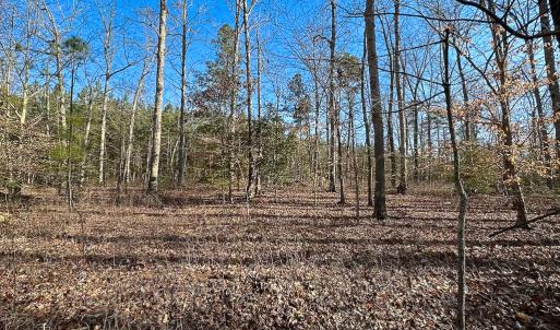 Photo #24 of SOLD property in Off Pole Run Rd, Disputanta, VA 89.1 acres