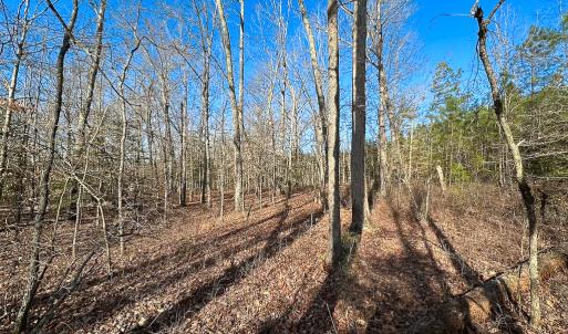 Photo #25 of SOLD property in Off Pole Run Rd, Disputanta, VA 89.1 acres