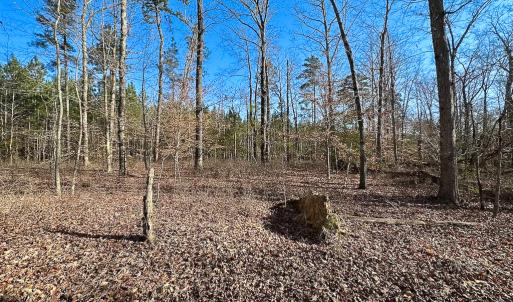 Photo #28 of SOLD property in Off Pole Run Rd, Disputanta, VA 89.1 acres