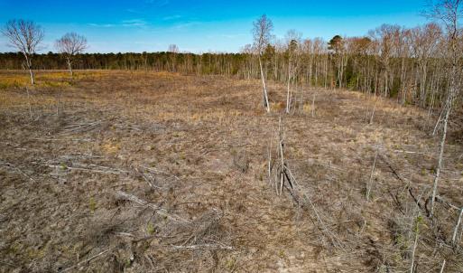 Photo #32 of SOLD property in Off Pole Run Rd, Disputanta, VA 89.1 acres