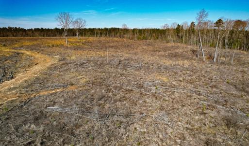 Photo #33 of SOLD property in Off Pole Run Rd, Disputanta, VA 89.1 acres
