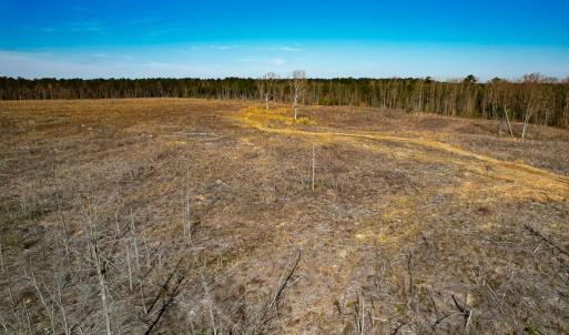 Photo #34 of SOLD property in Off Pole Run Rd, Disputanta, VA 89.1 acres