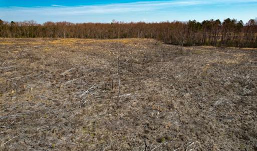 Photo #35 of SOLD property in Off Pole Run Rd, Disputanta, VA 89.1 acres