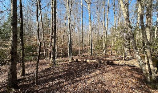 Photo #2 of SOLD property in Off Pole Run Rd, Disputanta, VA 114.0 acres