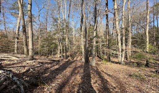 Photo #4 of SOLD property in Off Pole Run Rd, Disputanta, VA 114.0 acres