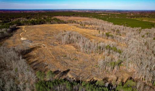 Photo #11 of SOLD property in Off Pole Run Rd, Disputanta, VA 114.0 acres